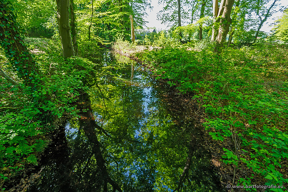 Hierdense beek 080520-053