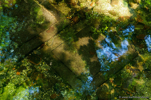 Hierdense beek 080520-054