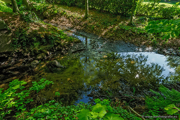 Hierdense beek 080520-055