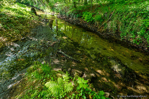 Hierdense beek 080520-056