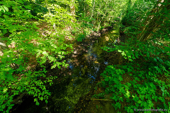 Hierdense beek 080520-057