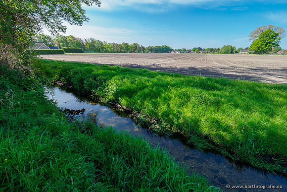 Hierdense beek 080520-059