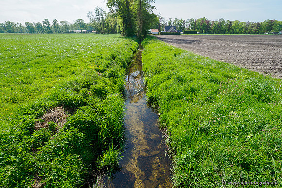 Hierdense beek 080520-062