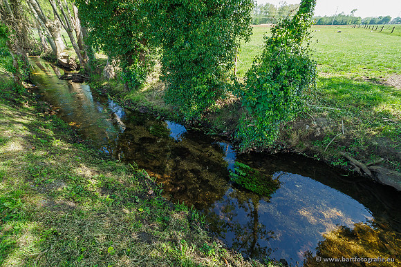 Hierdense beek 080520-064