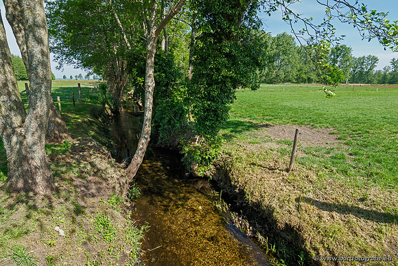 Hierdense beek 080520-063