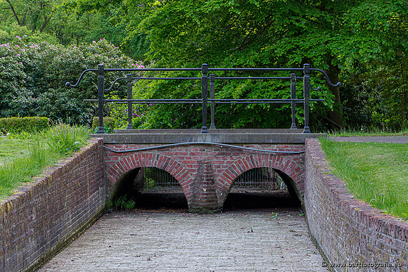 Hierdense beek 150520-193