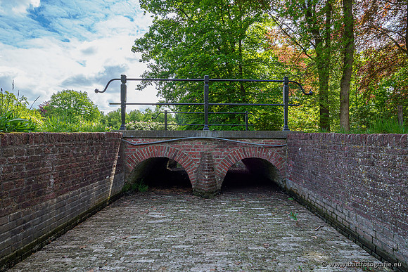 Hierdense beek 150520-161