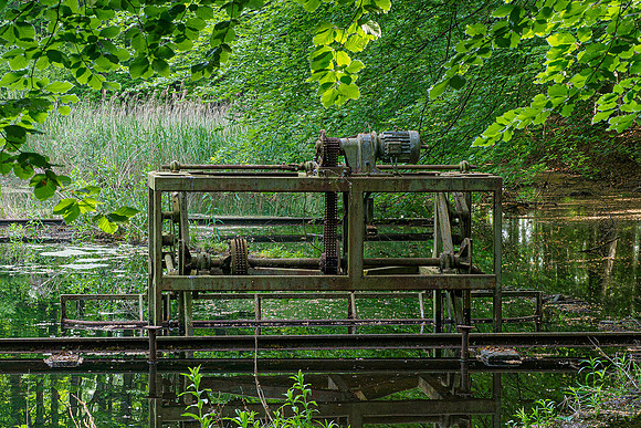 Waterloopbos 190520, Bart Fotografie-002