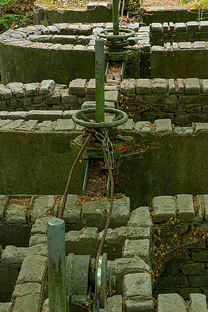 Waterloopbos 190520, Bart Fotografie-003