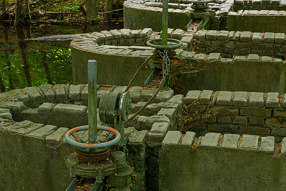 Waterloopbos 190520, Bart Fotografie-004