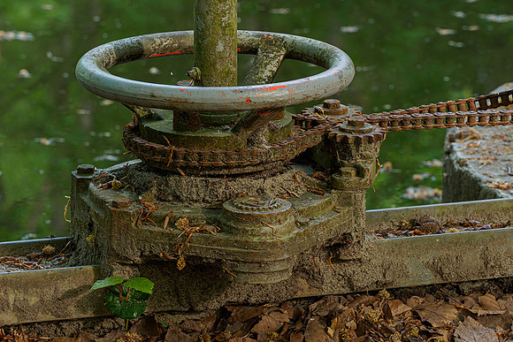 Waterloopbos 190520, Bart Fotografie-005