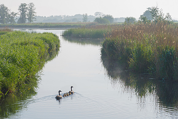 De Wieden 260520-046