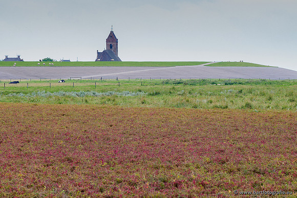 Friesland september 2020 Bart Fotografie-014