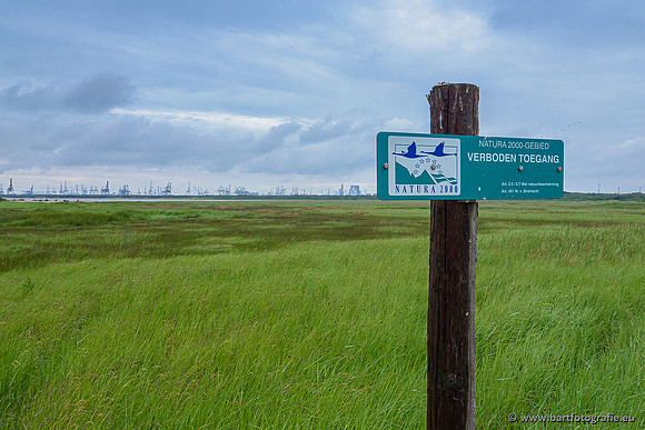 Oostvoorne Bart Fotografie 070620-002