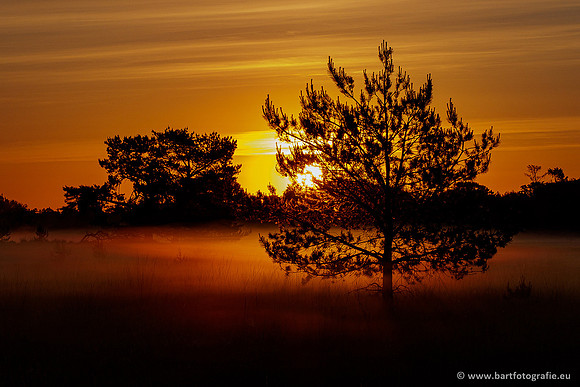 Leersumseveld Bart Fotografie 01020-004