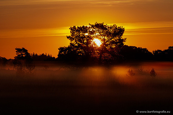 Leersumseveld Bart Fotografie 01020-005