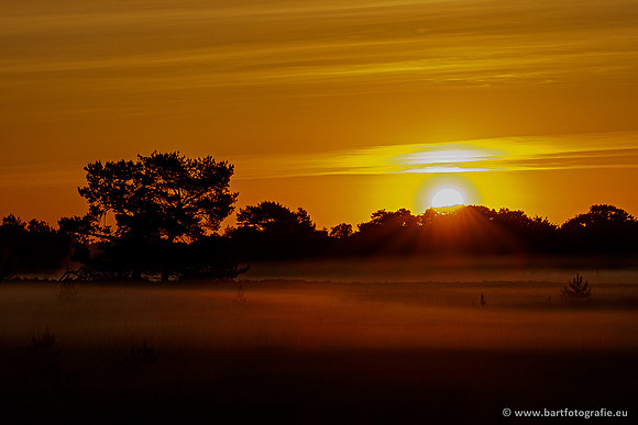 Leersumseveld Bart Fotografie 01020-006