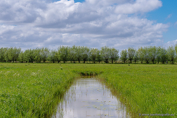 Akker en Weide Bart Fotografie-149