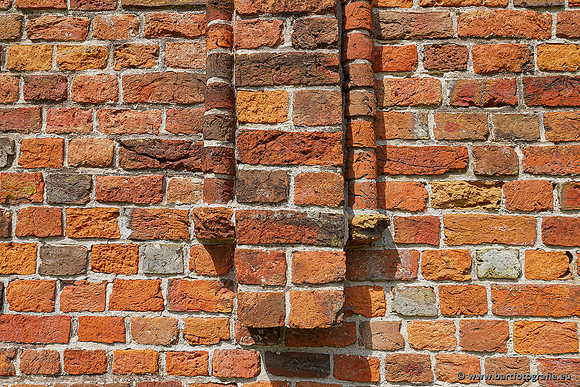 Westerlee 220620 Bart Fotografie-006
