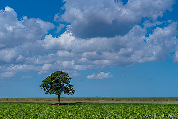 Westerlee 220620 Bart Fotografie-026