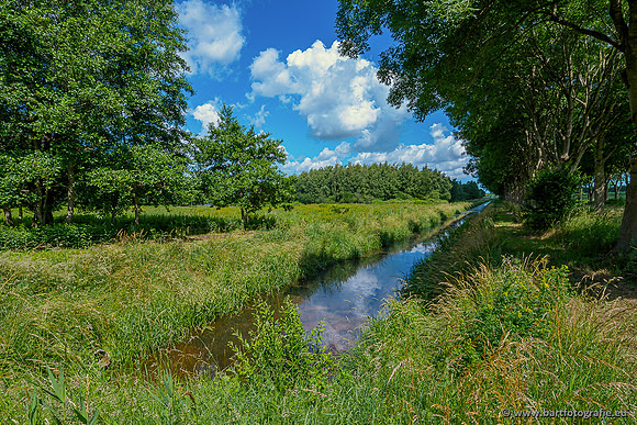 Westerlee 220620 Bart Fotografie-037