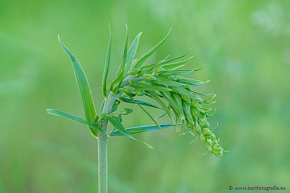 Westerlee 220620 Bart Fotografie-046