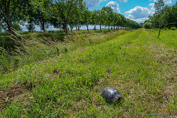 Westerlee 220620 Bart Fotografie-061