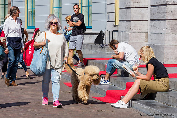 Mens en Stad Bart Fotografie-392