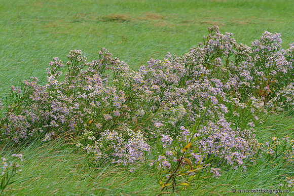 Friesland september 2020 Bart Fotografie-085