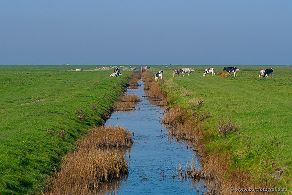 Friesland september 2020 Bart Fotografie-114