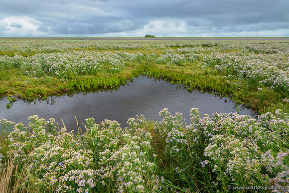Friesland september 2020 Bart Fotografie-076