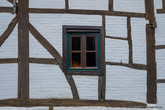 Limburg december 2020 Bart Fotografie-023