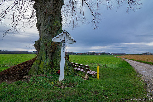Limburg december 2020 Bart Fotografie-034