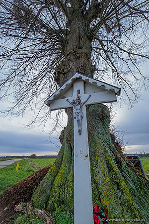 Limburg december 2020 Bart Fotografie-035