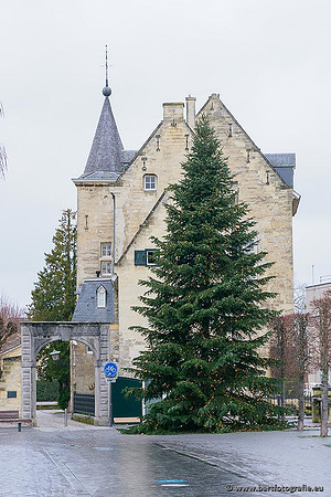 Limburg december 2020 Bart Fotografie-040