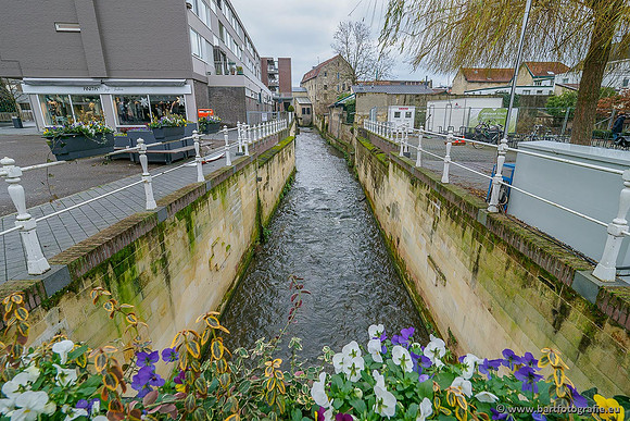 Limburg december 2020 Bart Fotografie-043
