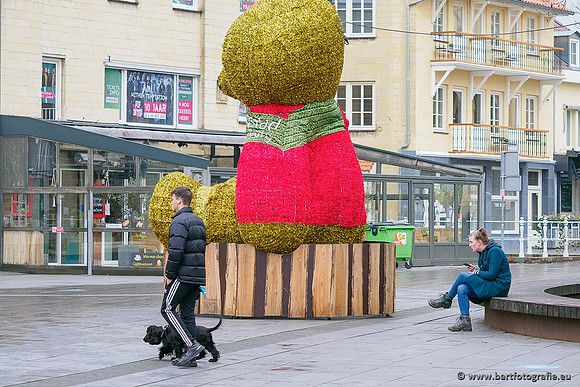Limburg december 2020 Bart Fotografie-049