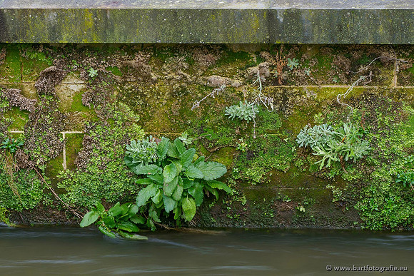 Limburg december 2020 Bart Fotografie-054