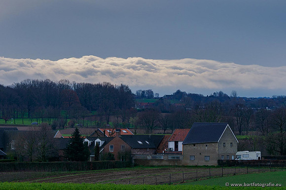 Limburg december 2020 Bart Fotografie-066
