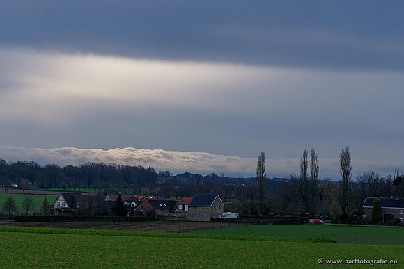 Limburg december 2020 Bart Fotografie-067