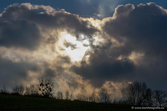 Limburg december 2020 Bart Fotografie-078