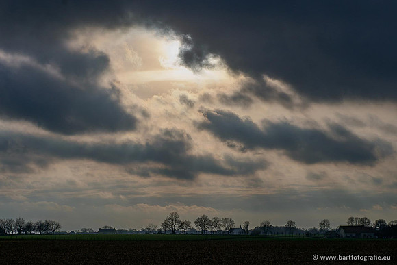 Limburg december 2020 Bart Fotografie-084