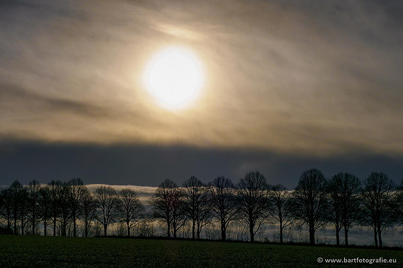 Limburg december 2020 Bart Fotografie-089