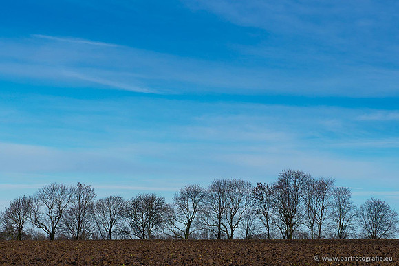 Limburg december 2020 Bart Fotografie-092