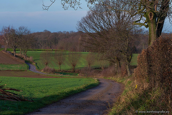 Limburg december 2020 Bart Fotografie-093