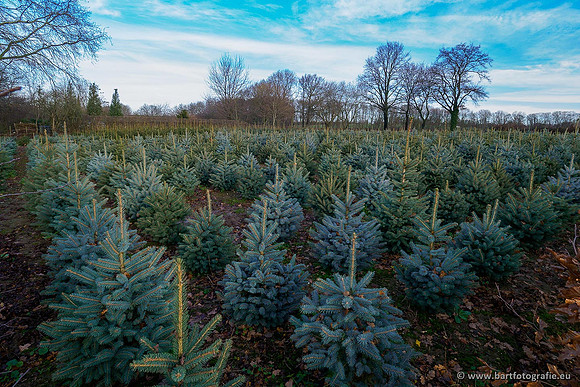 Limburg december 2020 Bart Fotografie-095