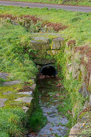 Limburg december 2020 Bart Fotografie-097