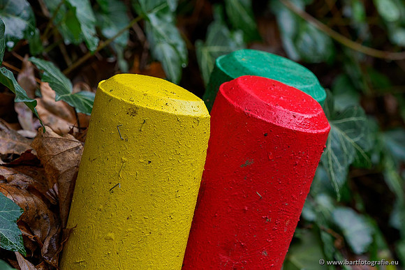 Limburg december 2020 Bart Fotografie-103