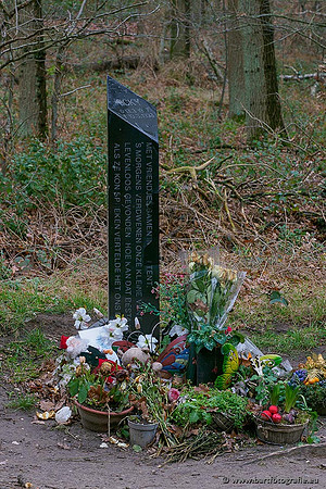 Limburg december 2020 Bart Fotografie-106