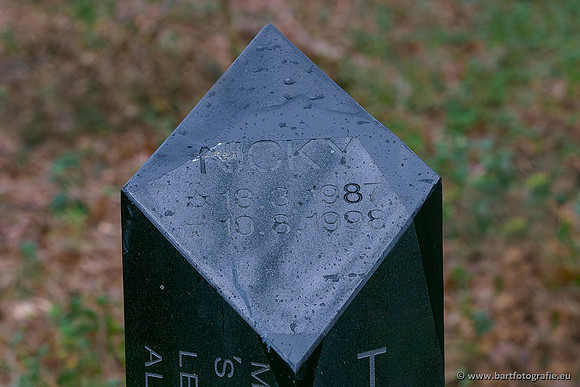 Limburg december 2020 Bart Fotografie-107